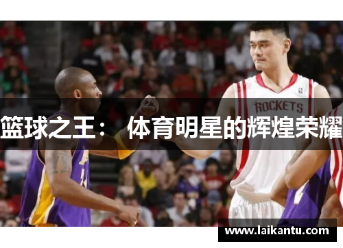 篮球之王: 体育明星的辉煌荣耀